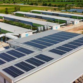 Commercial Solar